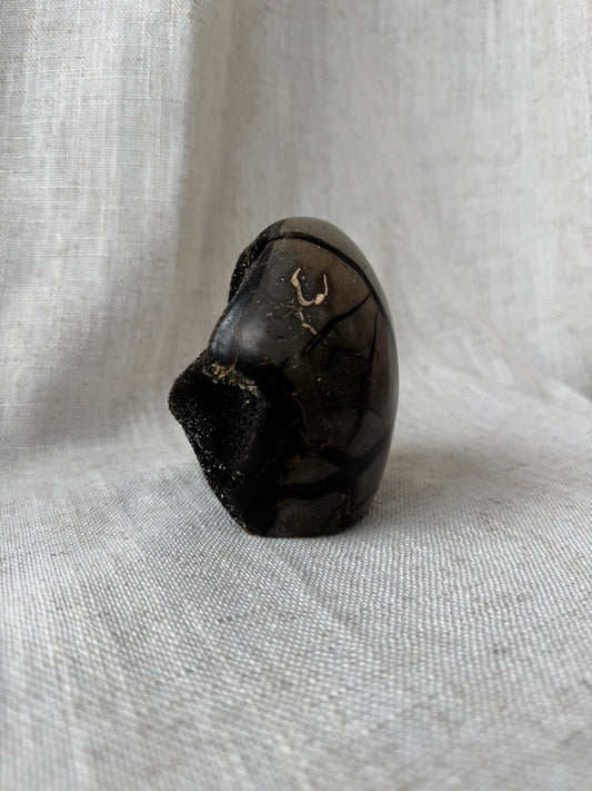 Septarian Dragon Stone