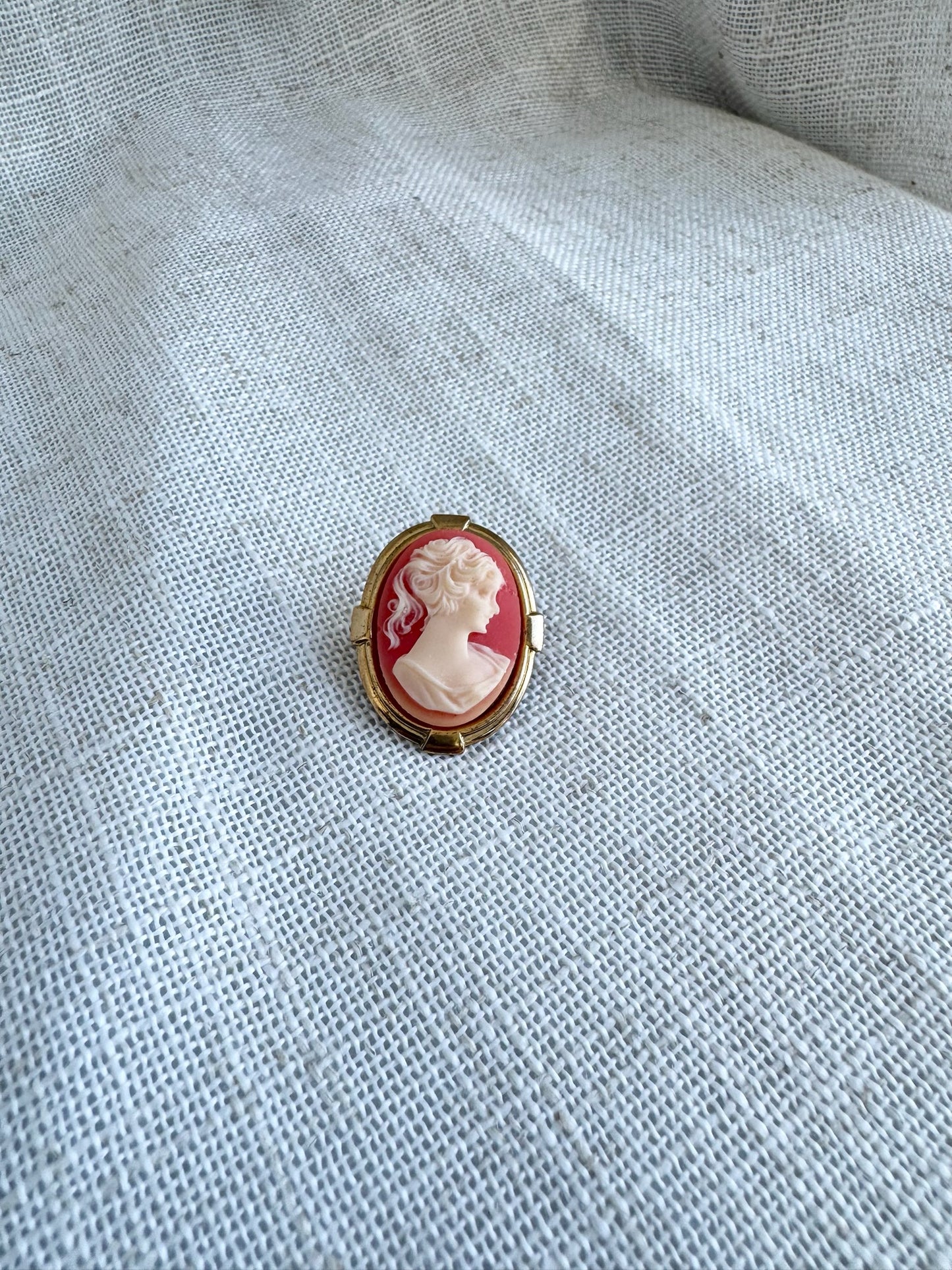 Vintage Cameo Pin