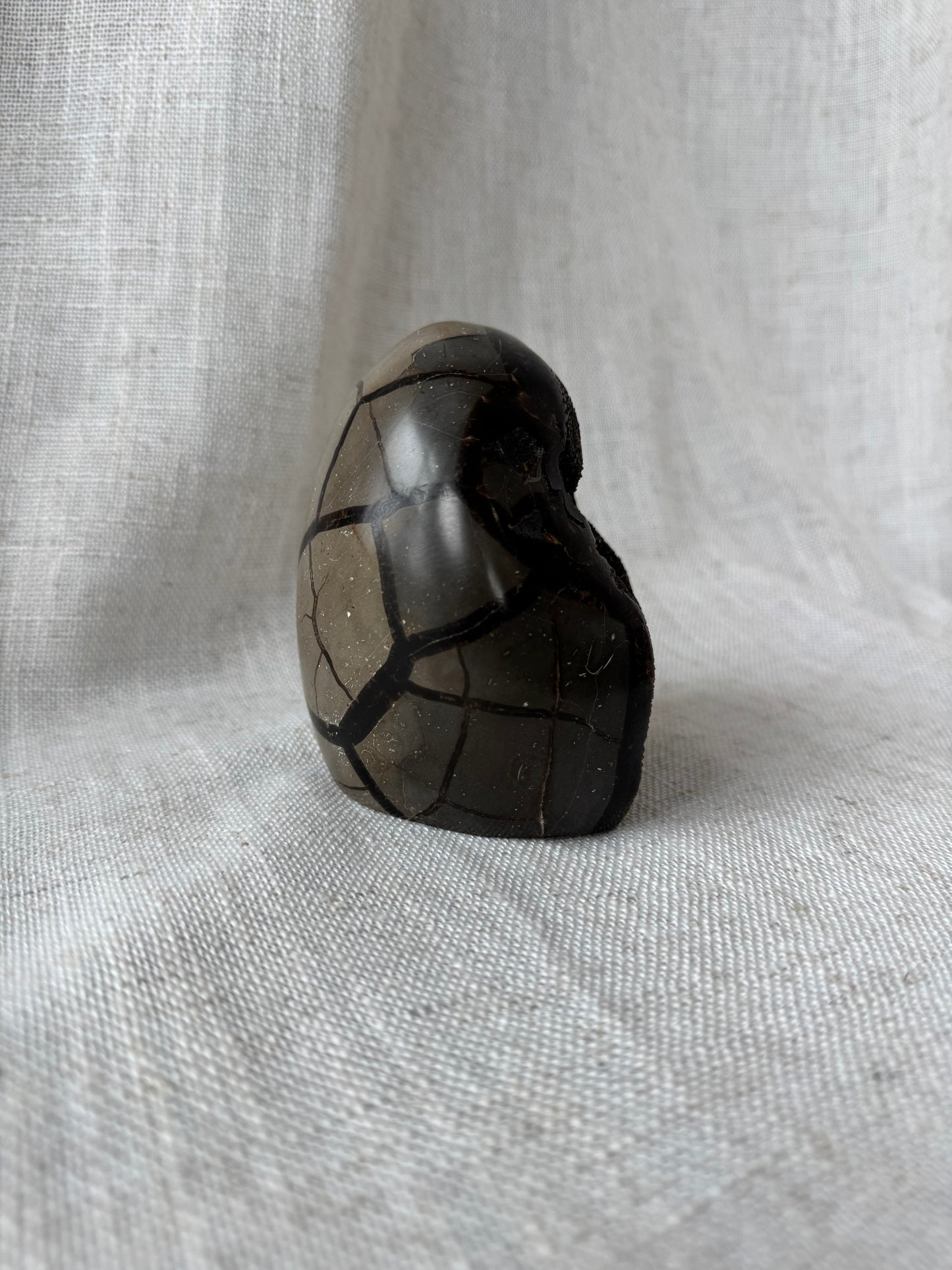 Septarian Dragon Stone