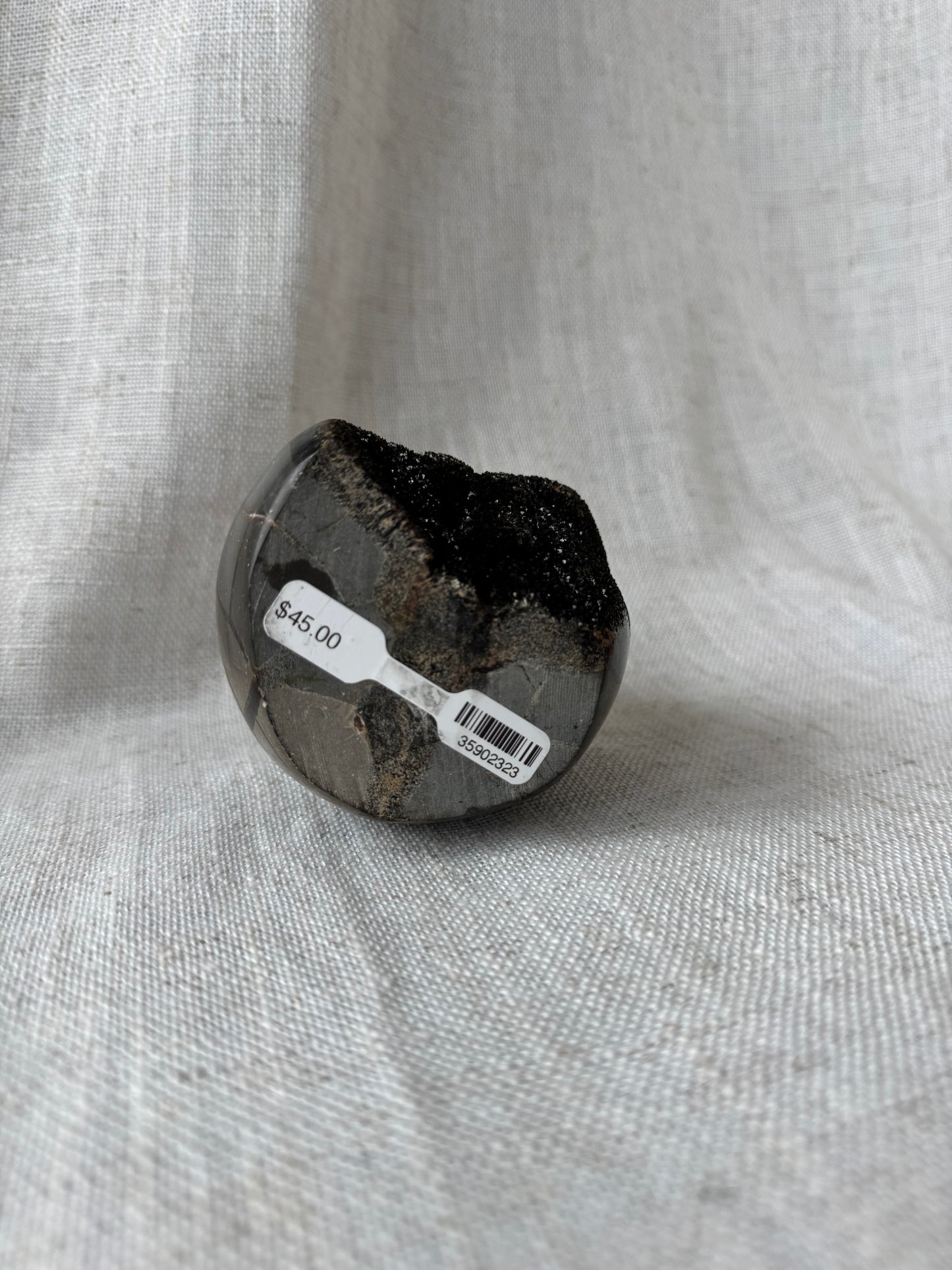 Septarian Dragon Stone