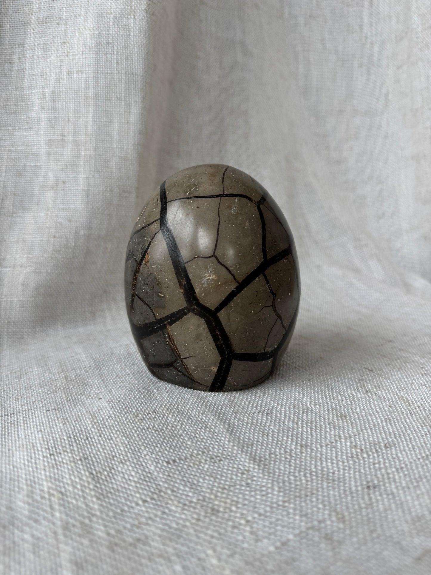 Septarian Dragon Stone