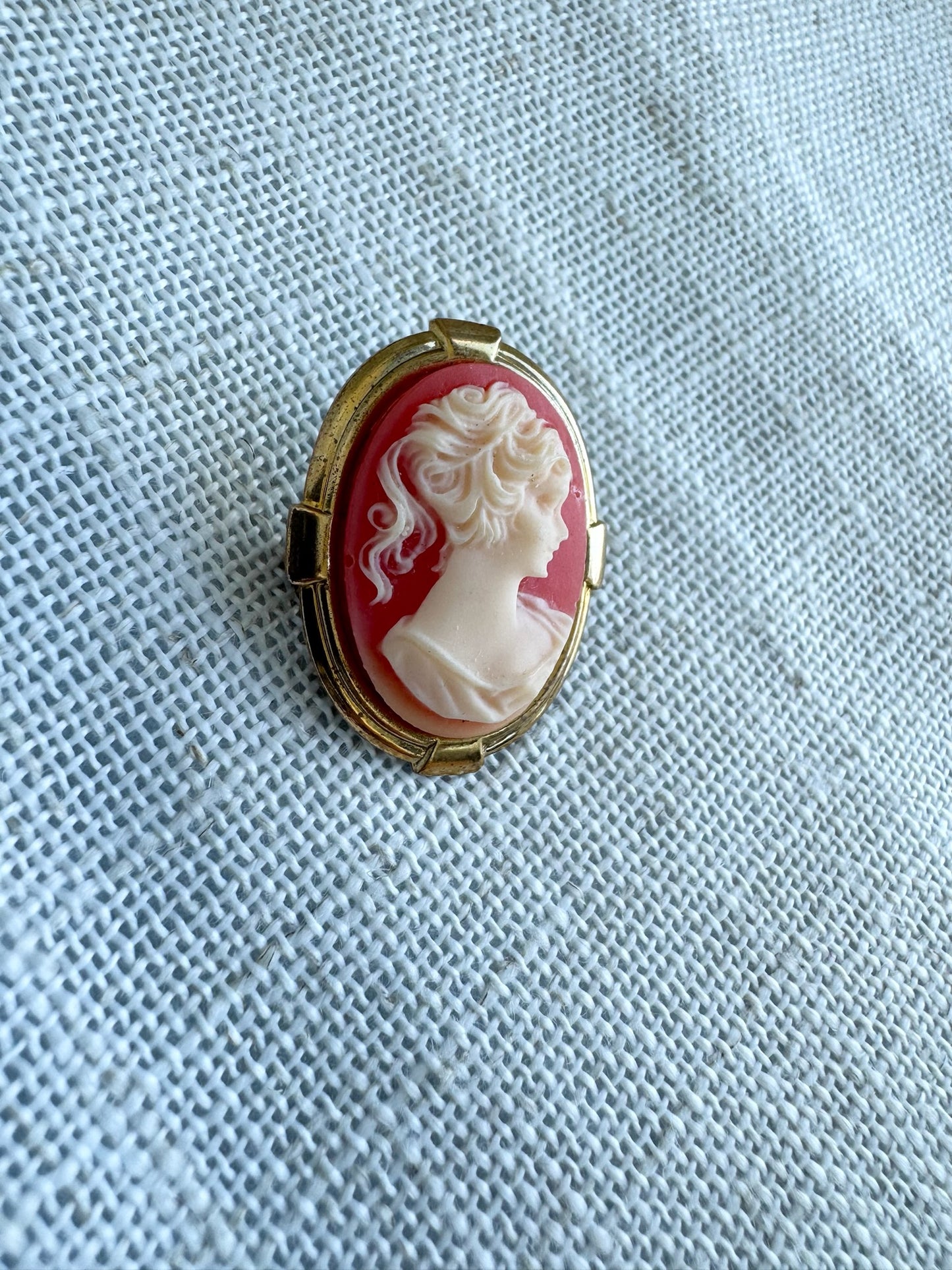 Vintage Cameo Pin